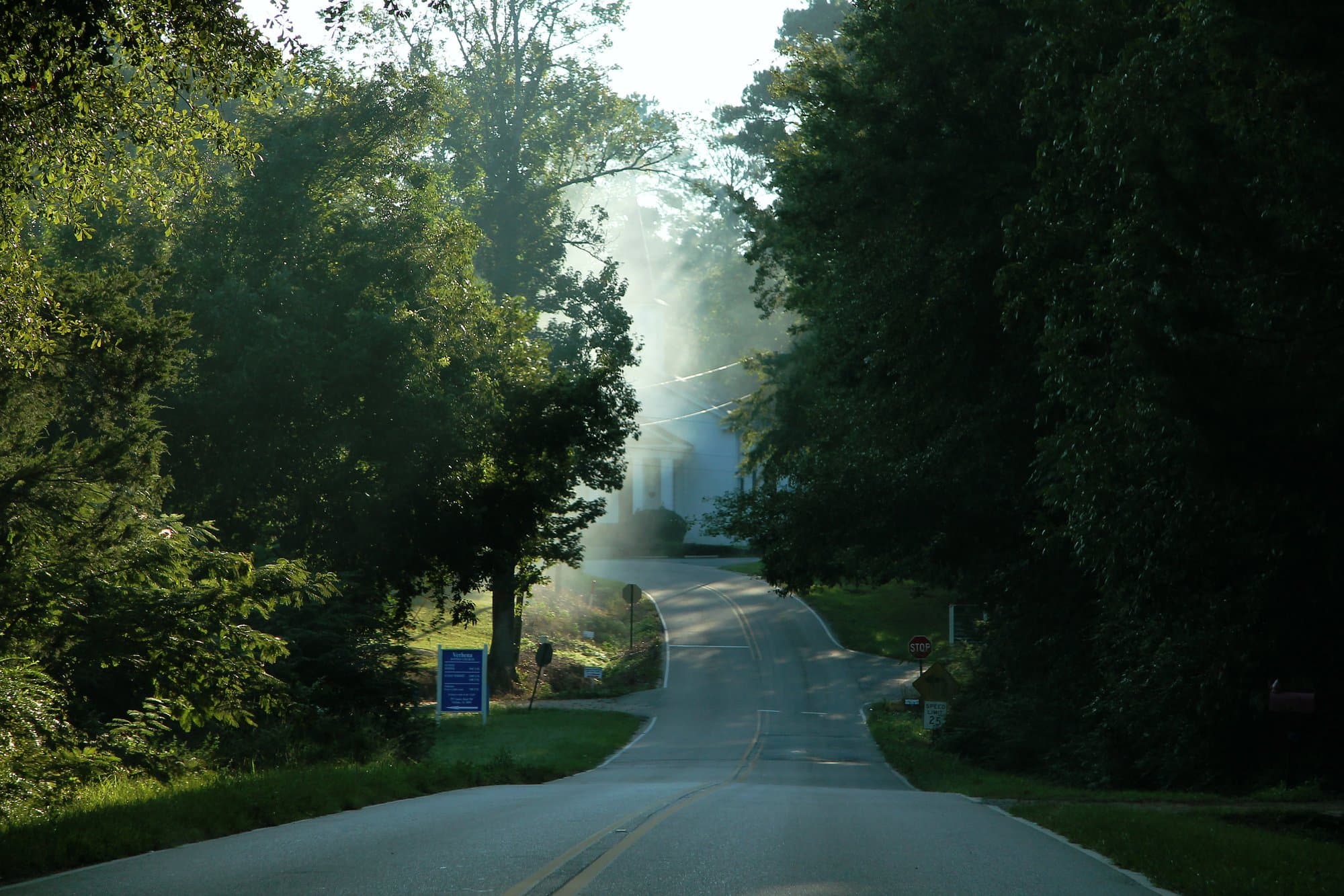 Morning mist over tree-lined County Road 59 in Verbena, rural Chilton County, Alabama